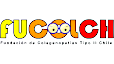 Logo Fundación Colagenopatías tipo II Chile